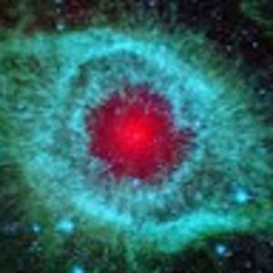 Meet your Posher, Ricky